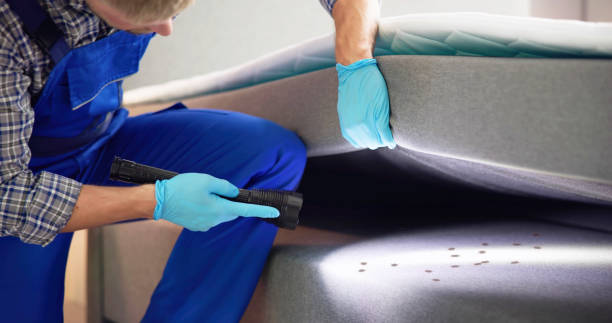 Best Rat Extermination Near Me  in Redwater, TX